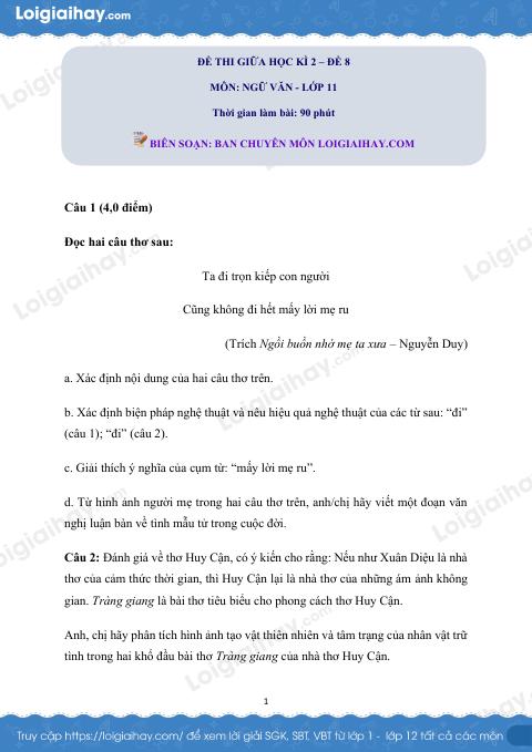 Đề kiểm tra giữa học kì II Ngữ văn 11 - Đề số 8 có lời giải chi tiết
